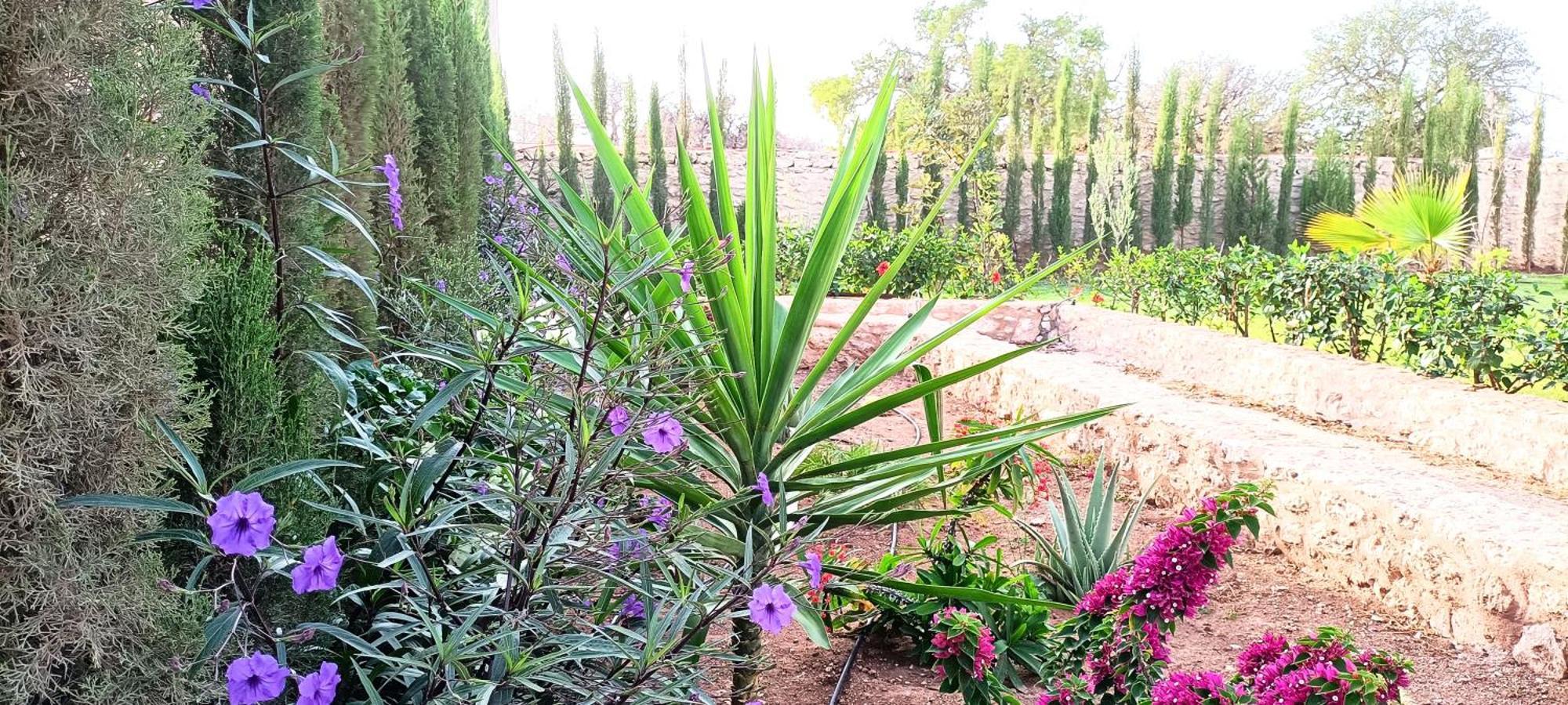 Villa Iyad Essaouira Eksteriør bilde