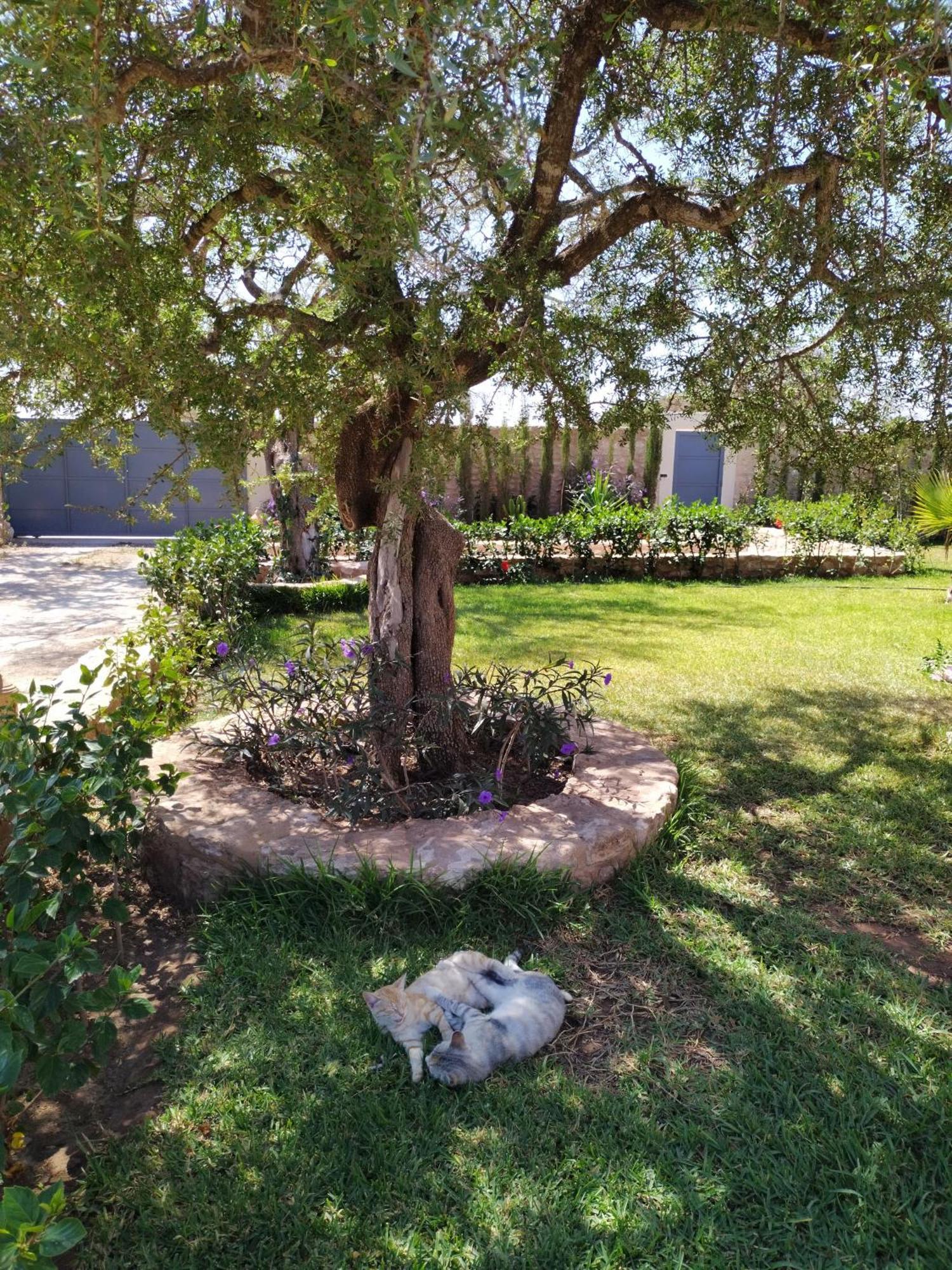 Villa Iyad Essaouira Eksteriør bilde