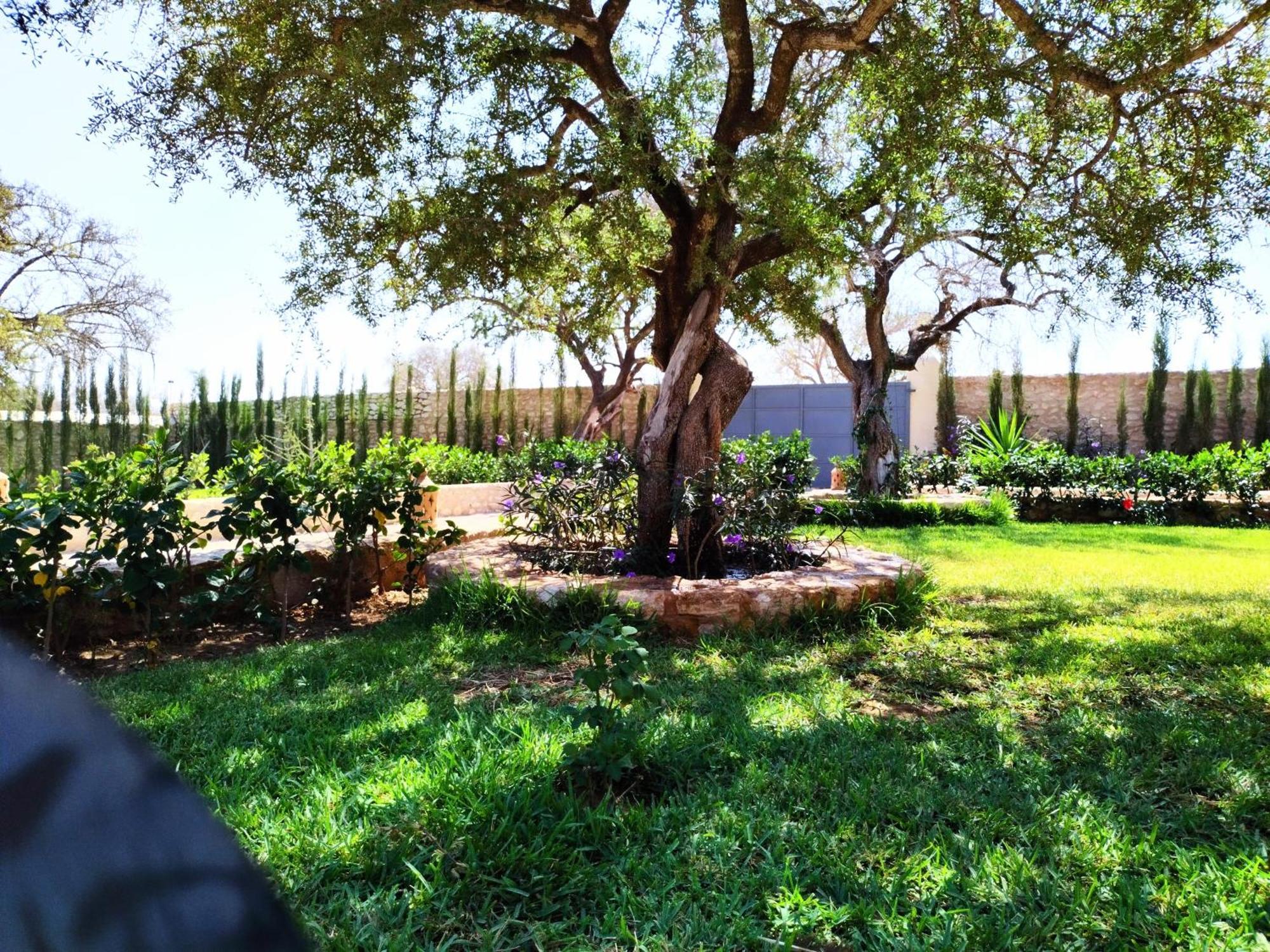 Villa Iyad Essaouira Eksteriør bilde