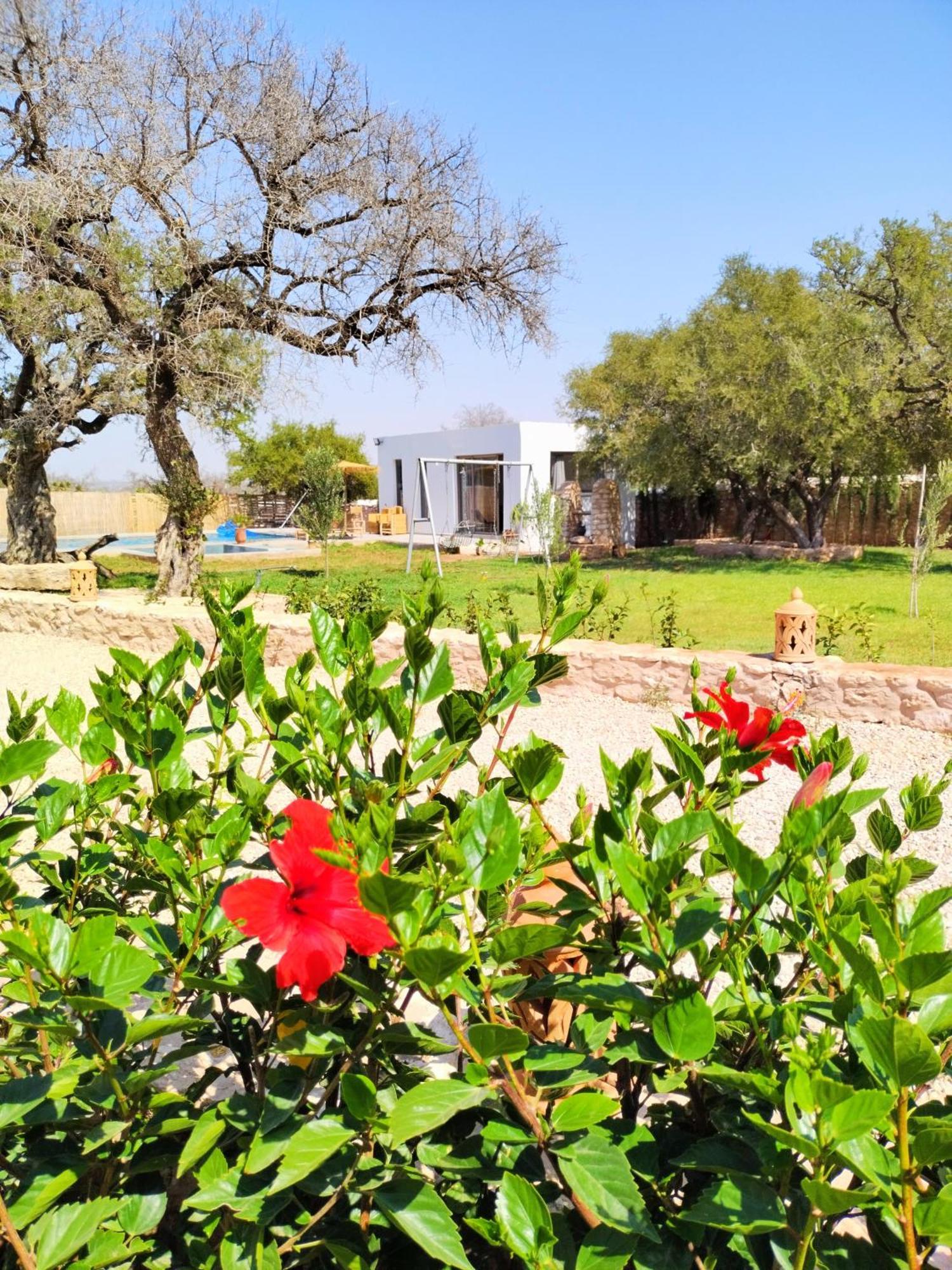 Villa Iyad Essaouira Eksteriør bilde